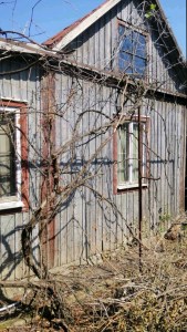 IMG_20251202_1138432