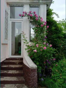 Screenshot_2037
