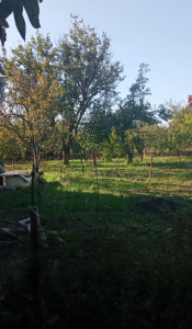 Screenshot_21238