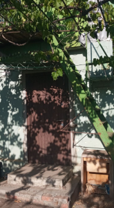 Screenshot_3842